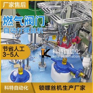 燃?xì)忾y門多頭自動上螺絲機(jī) 多工位高效率螺絲機(jī)視頻案例