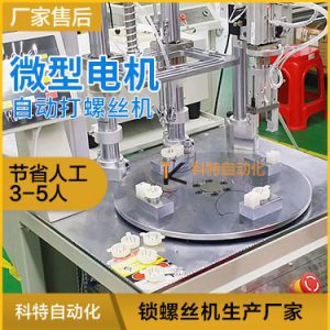 微型馬達(dá)自動組裝機(jī) 小電機(jī)自動打螺絲設(shè)備