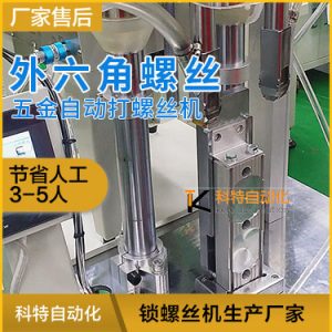 五金外六角螺絲自動擰緊機(jī)視頻展示 雙頭自動打螺絲機(jī)