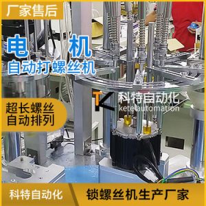 6軸自動打螺釘機(jī)  超長螺絲電機(jī)自動螺絲擰緊設(shè)備視頻案例